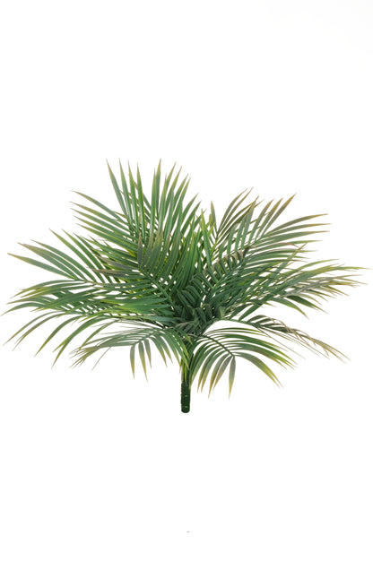 PIQUET D'ARECA