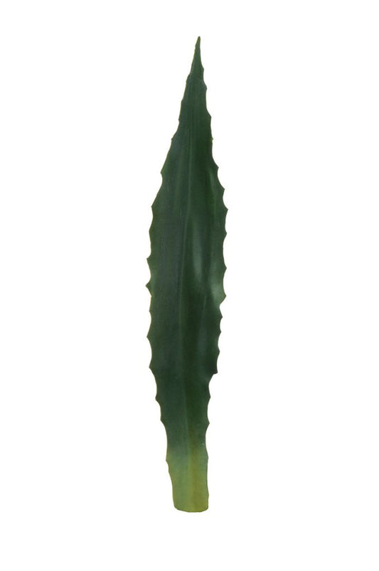 FEUILLE D'AGAVE