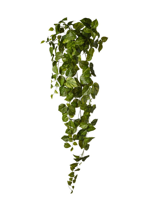 PIQUET DE POTHOS