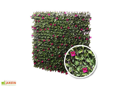 TREILLIS EXTENSIBLE FEUILLE DE BOUGAINVILLIER