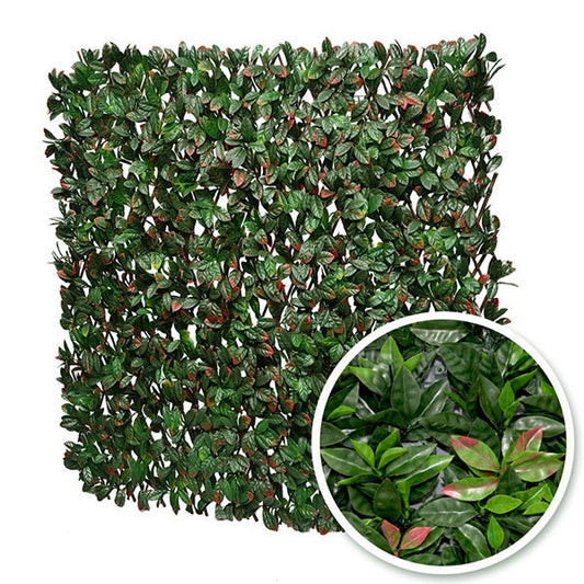 TREILLIS EXTENSIBLE FEUILLE DE PHOTINIA